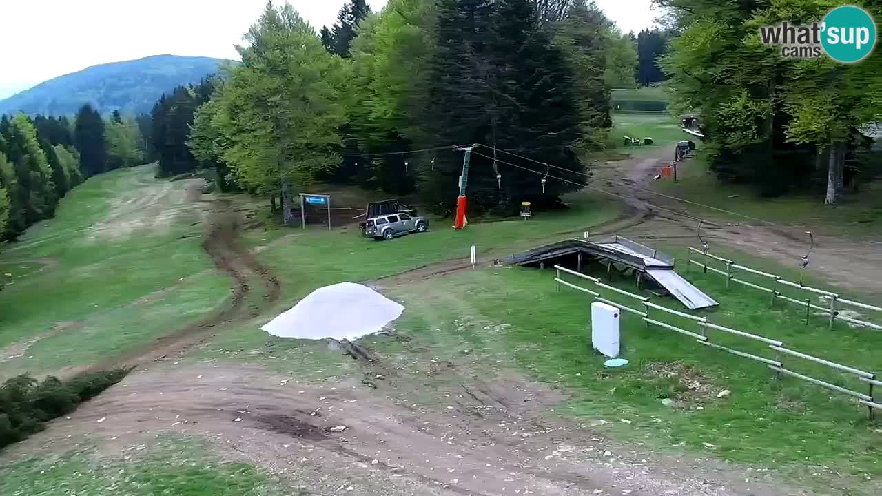 Mariborsko Pohorje – Areh Ruška proga 654