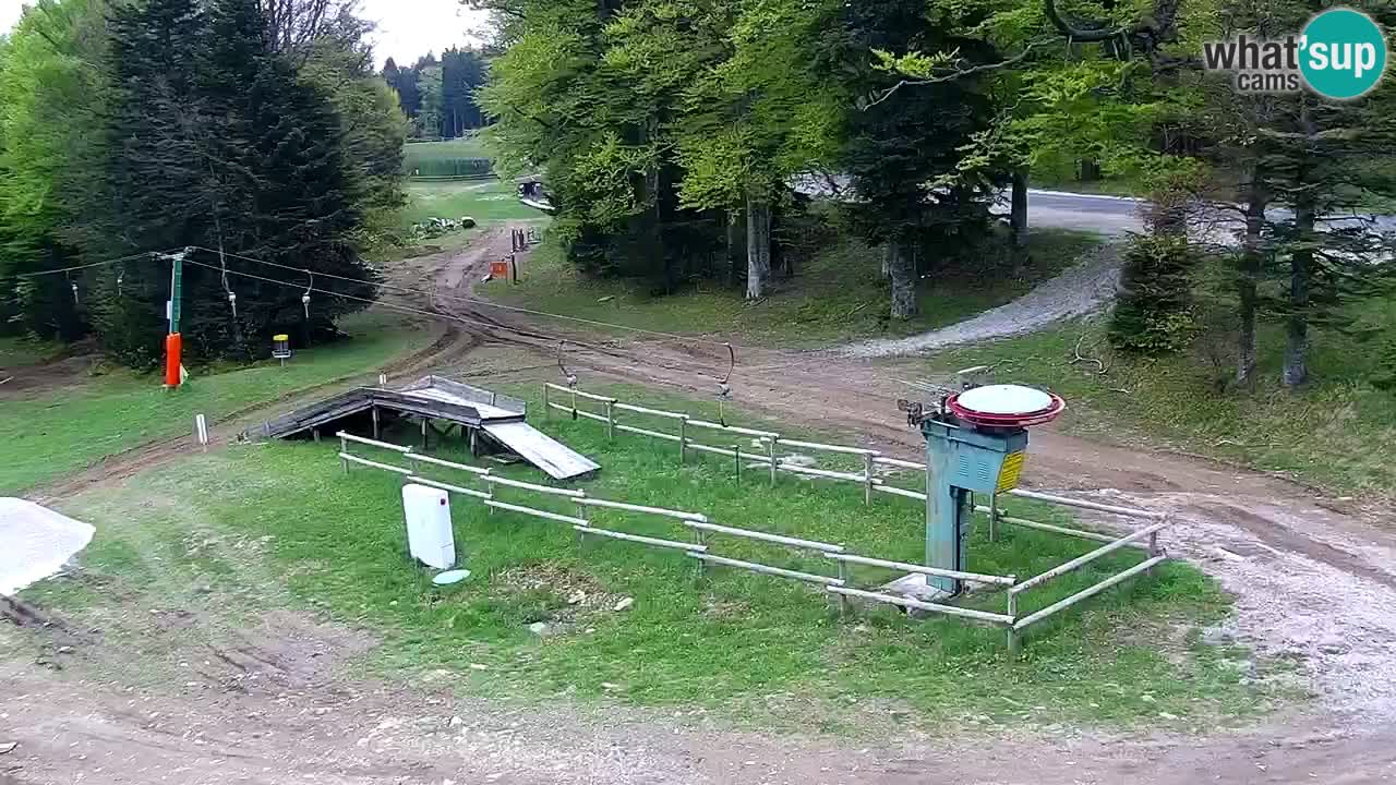 Smučišče Mariborsko Pohorje – spletna kamera Ruška zgoraj