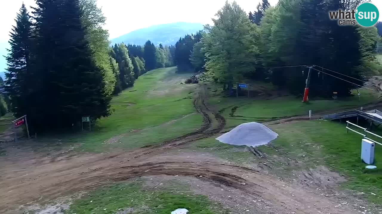 Smučišče Mariborsko Pohorje – spletna kamera Ruška zgoraj