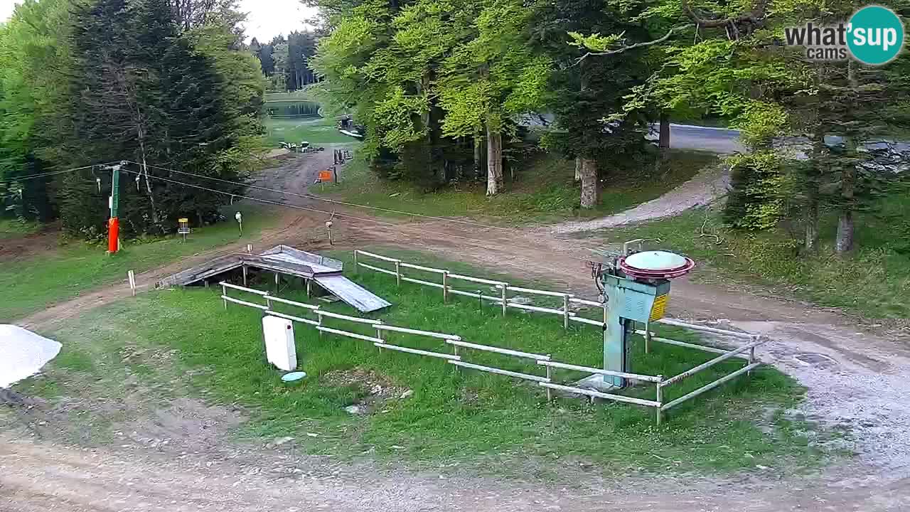 Stazione sciistica Pohorje – Arerh – pista Ruška