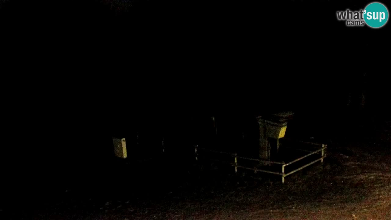 Smučišče Mariborsko Pohorje – spletna kamera Ruška zgoraj