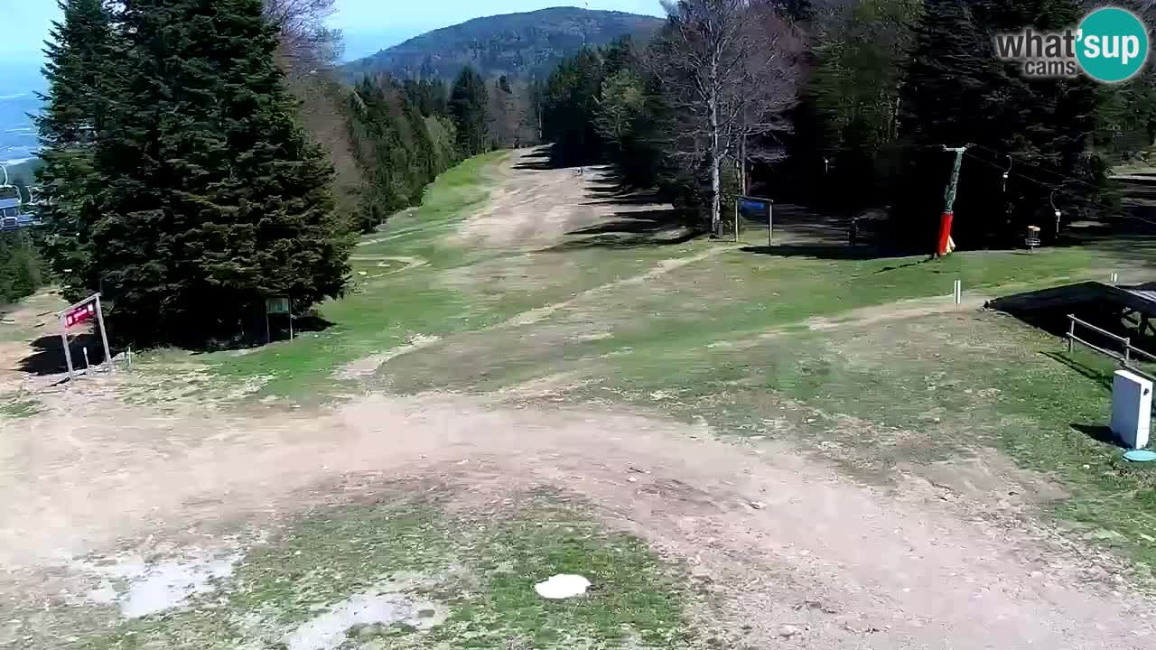 Smučišče Mariborsko Pohorje – spletna kamera Ruška zgoraj