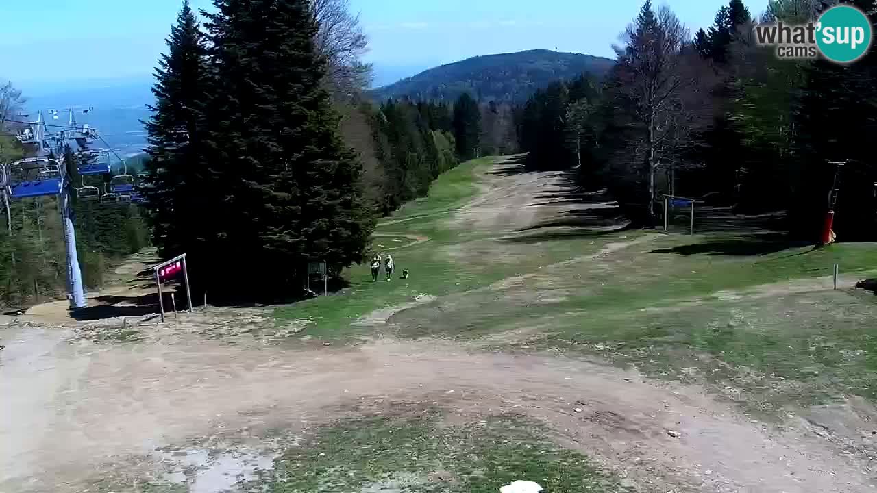 Mariborsko Pohorje – Areh Ruška proga 654