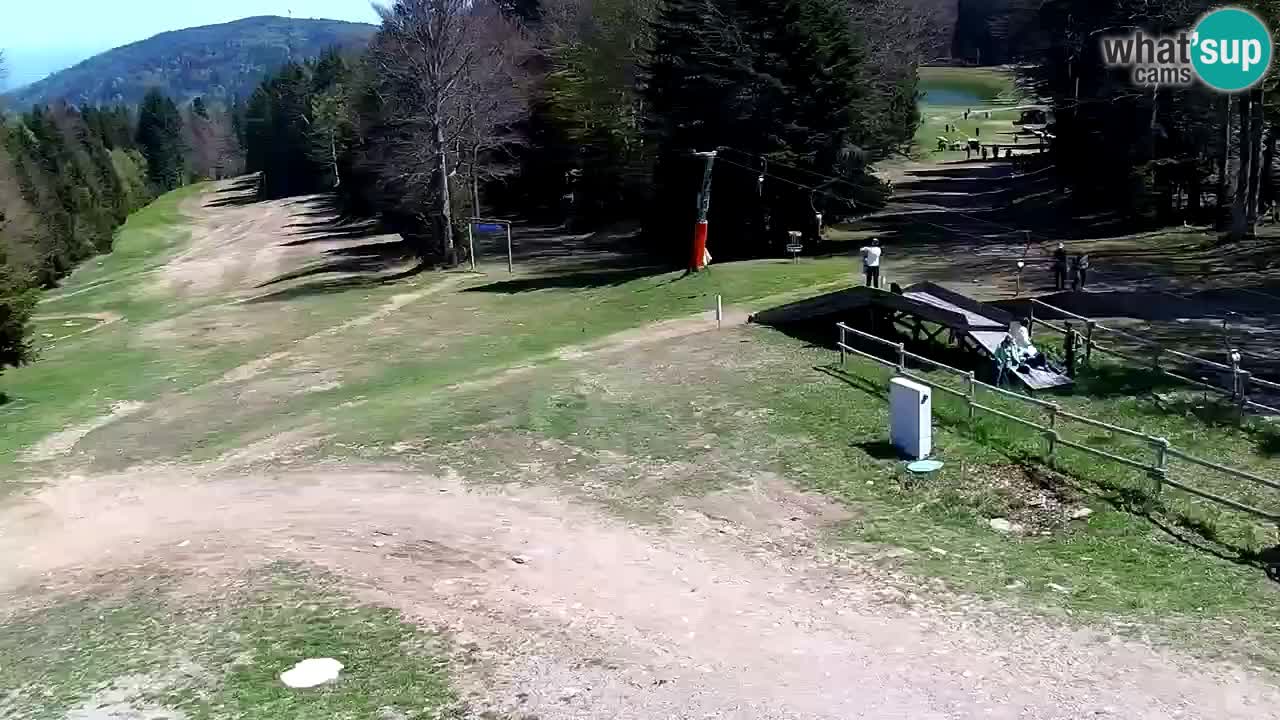 Smučišče Mariborsko Pohorje – spletna kamera Ruška zgoraj