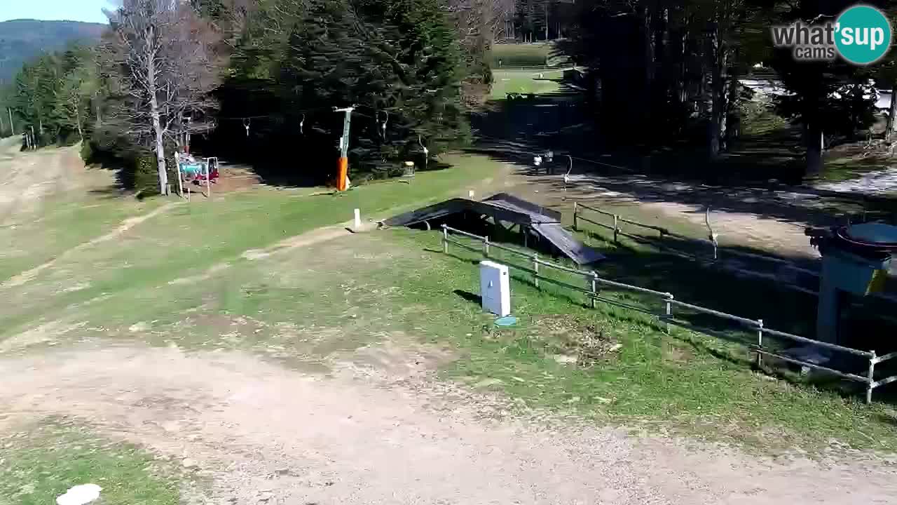 Estaciones de esquí Maribor Pohorje en vivo Ruška