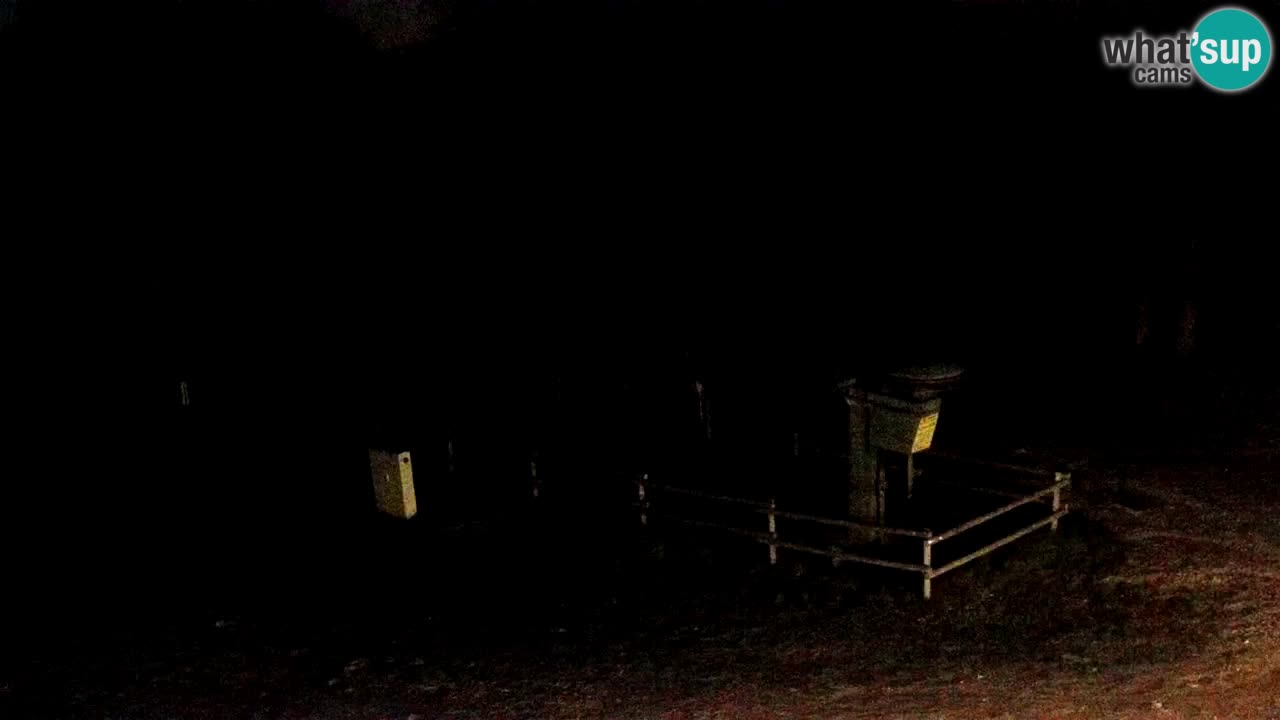 Stazione sciistica Pohorje – Arerh – pista Ruška