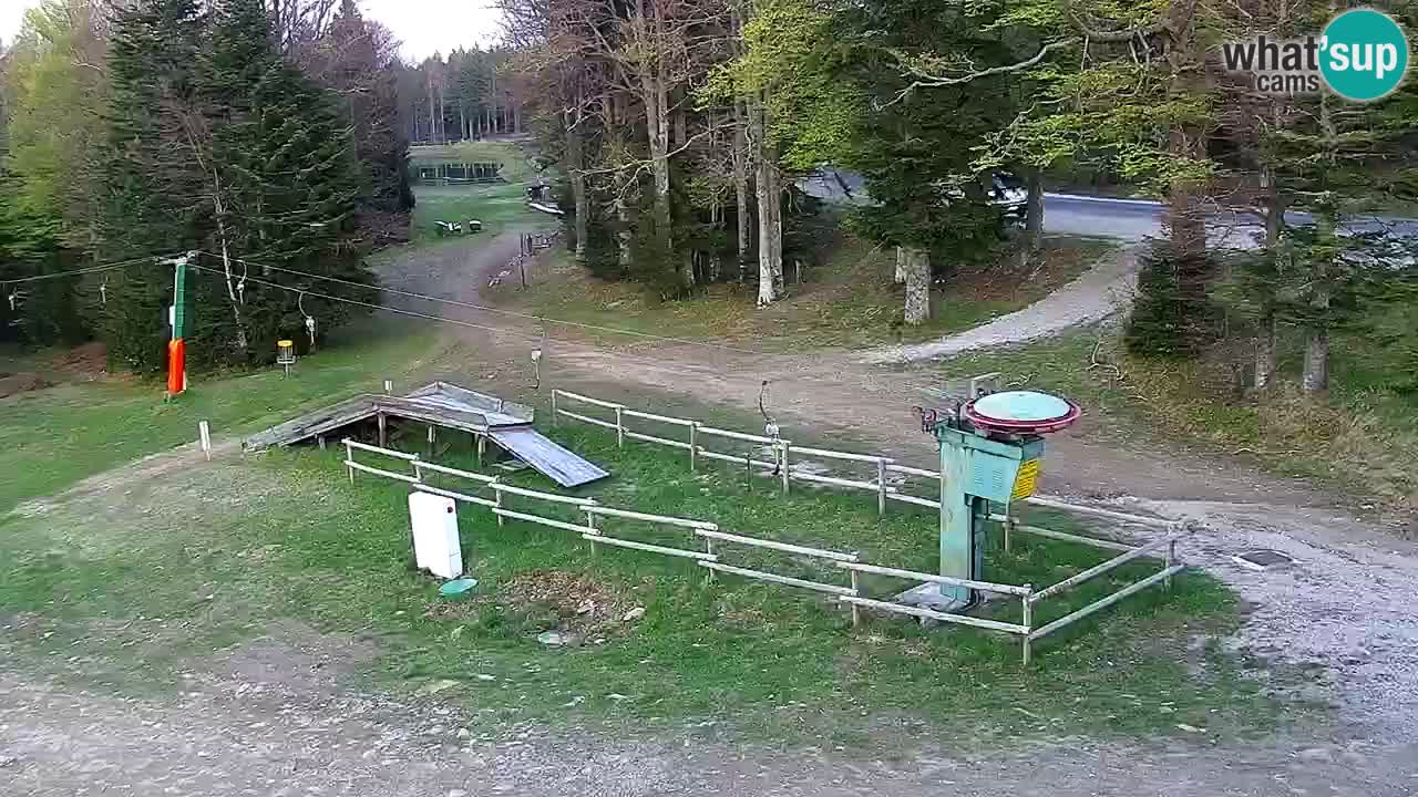 Mariborsko Pohorje – Areh Ruška proga 654
