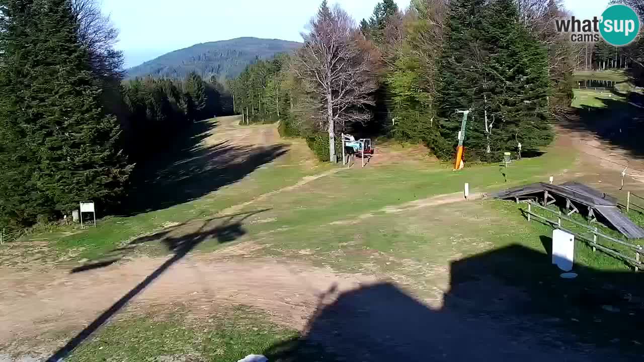 Smučišče Mariborsko Pohorje – spletna kamera Ruška zgoraj