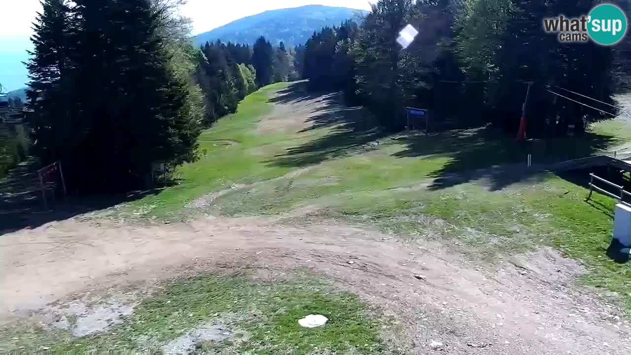 Estaciones de esquí Maribor Pohorje en vivo Ruška