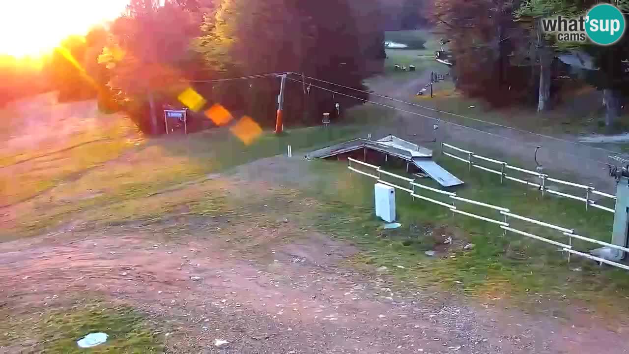Estaciones de esquí Maribor Pohorje en vivo Ruška