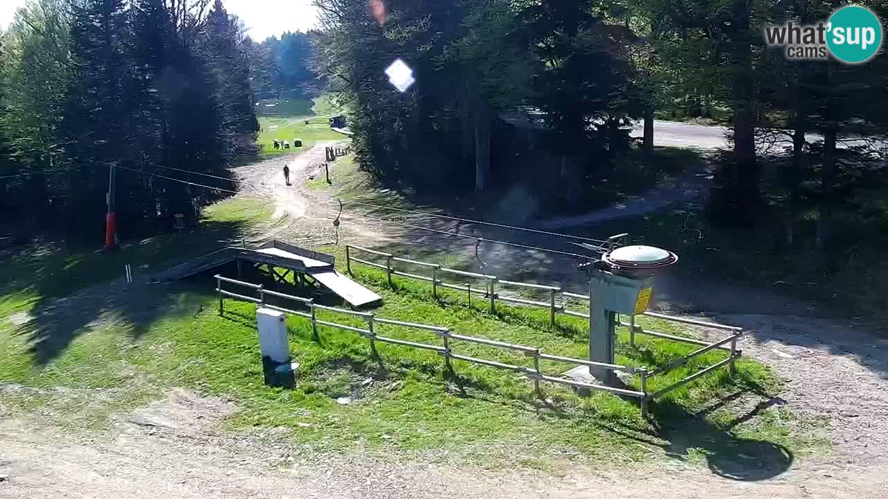 Mariborsko Pohorje – Areh Ruška proga 654