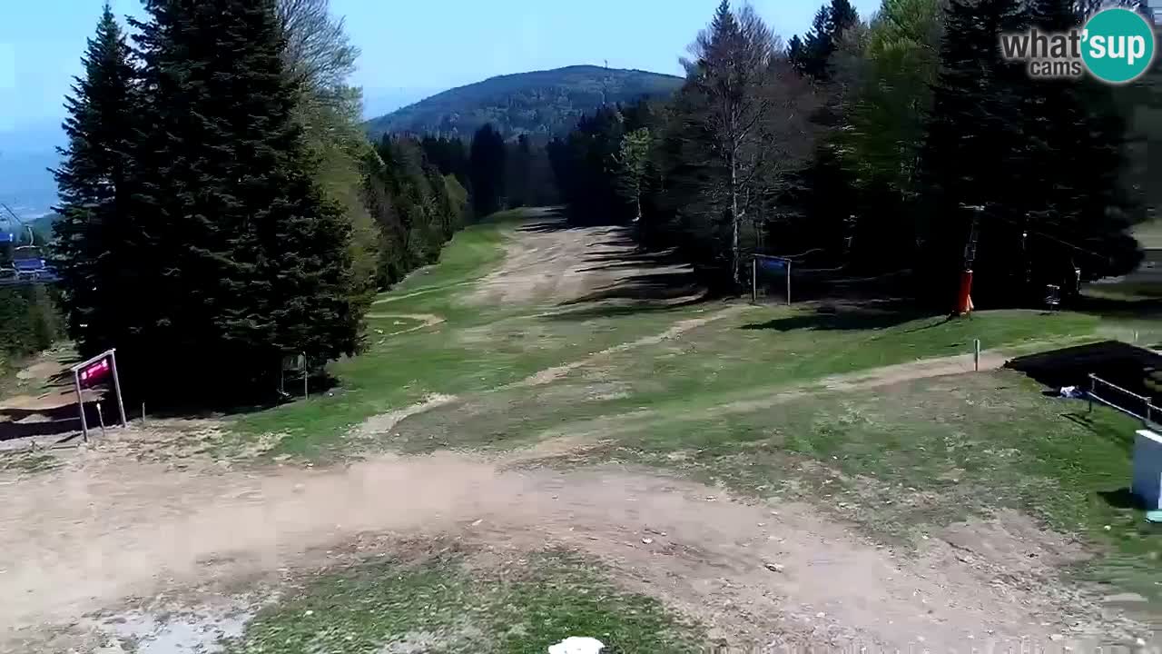 Mariborsko Pohorje – Areh Ruška proga 654
