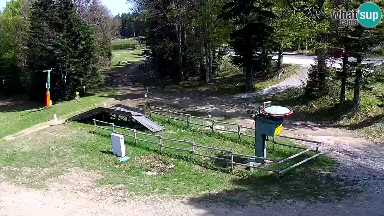 Estaciones de esquí Maribor Pohorje en vivo Ruška