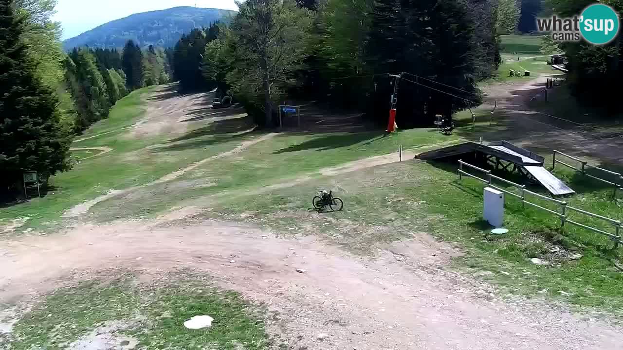 Stazione sciistica Pohorje – Arerh – pista Ruška