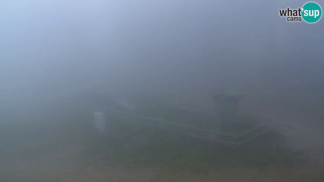 Stations de ski Maribor Pohorje web cam Ruška