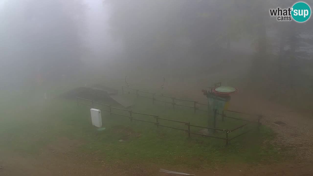 Stazione sciistica Pohorje – Arerh – pista Ruška