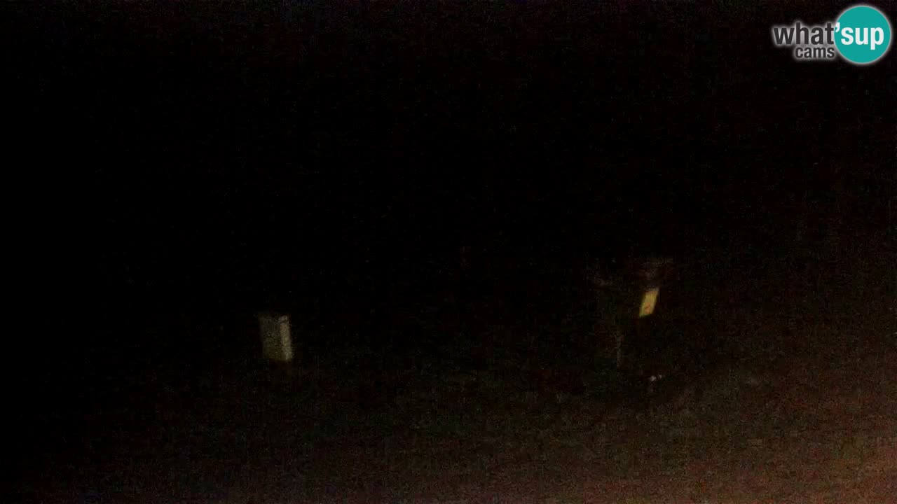 Stazione sciistica Pohorje – Arerh – pista Ruška