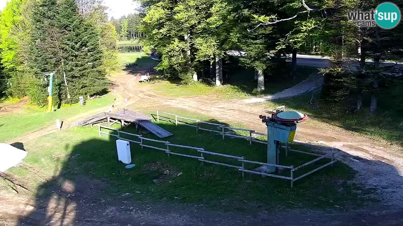 Mariborsko Pohorje – Areh Ruška proga 654
