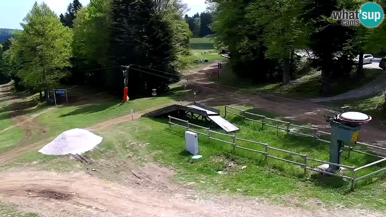 Mariborsko Pohorje – Areh Ruška proga 654