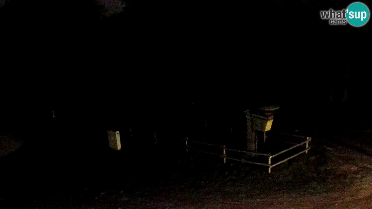 Pohorje – Areh – Pogled na vlečnico Ruška