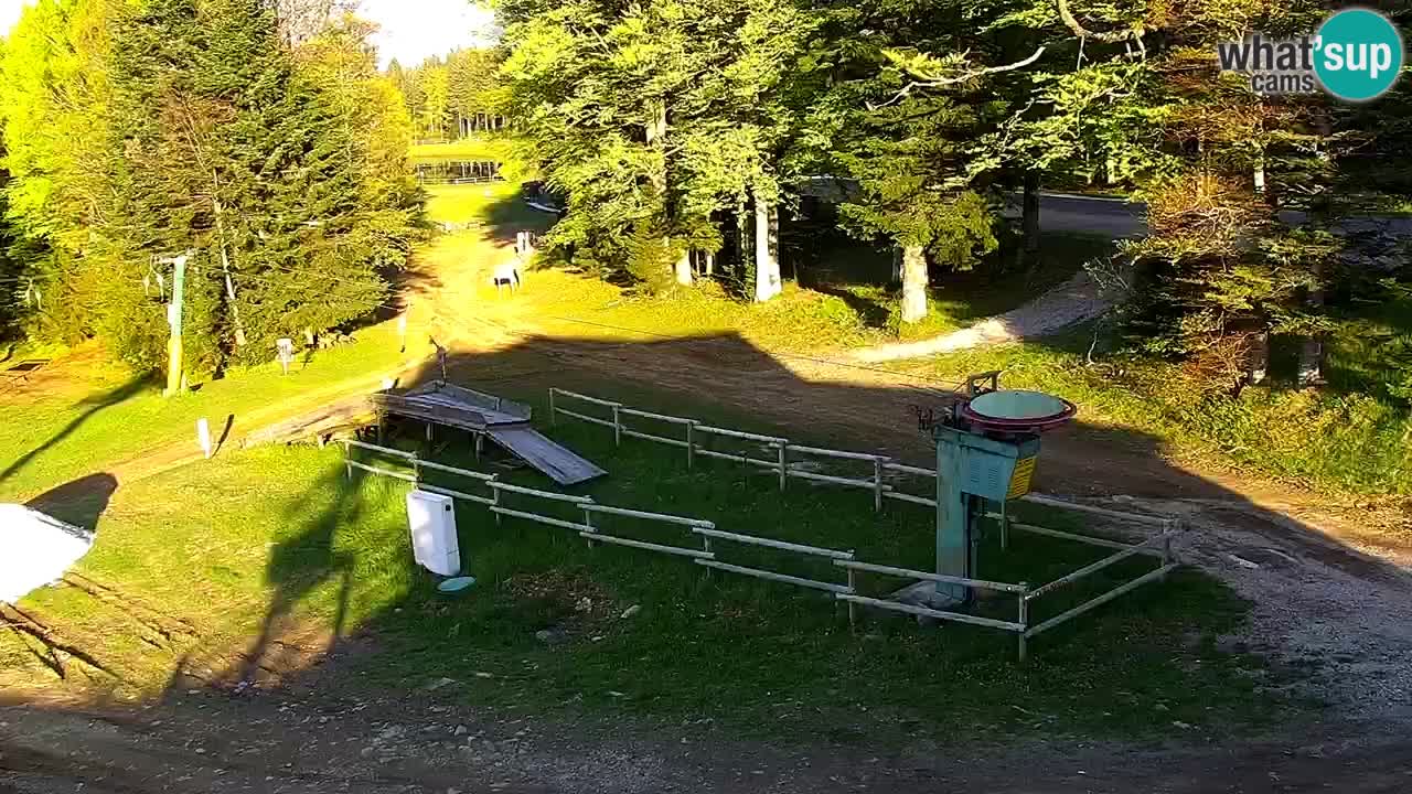 Mariborsko Pohorje – Areh Ruška proga 654