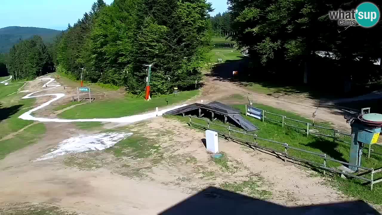 Estaciones de esquí Maribor Pohorje en vivo Ruška