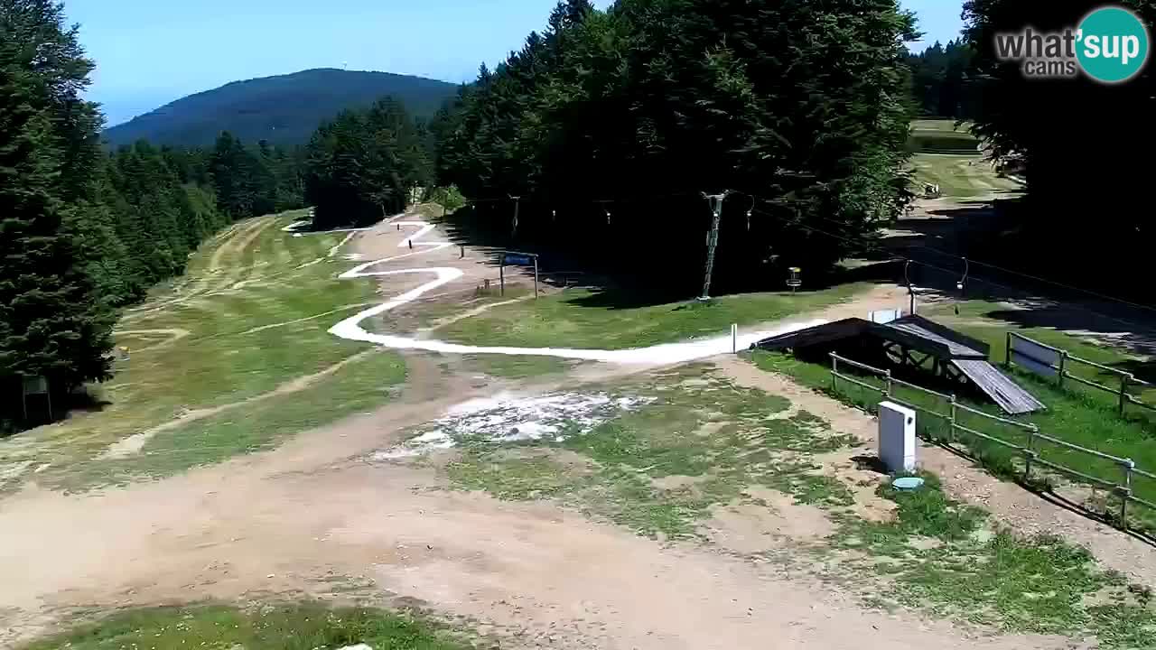 Maribor Pohorje – Areh Ruska