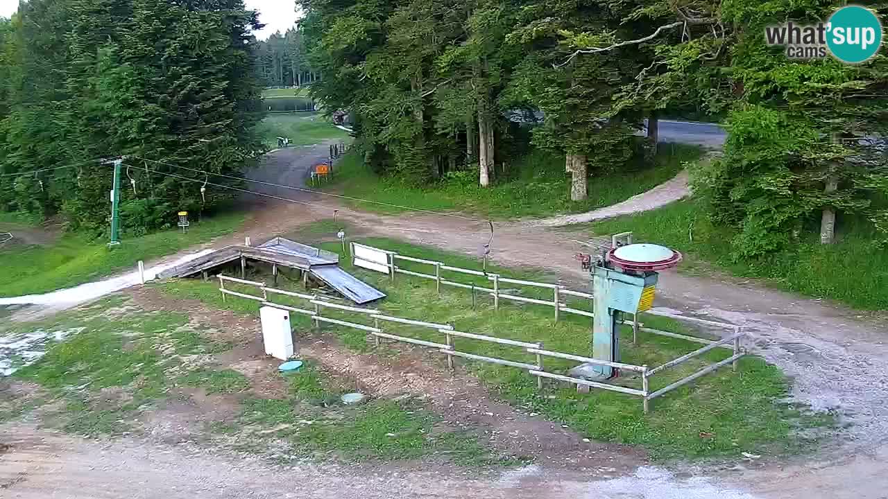 Mariborsko Pohorje – Areh Ruška proga 654