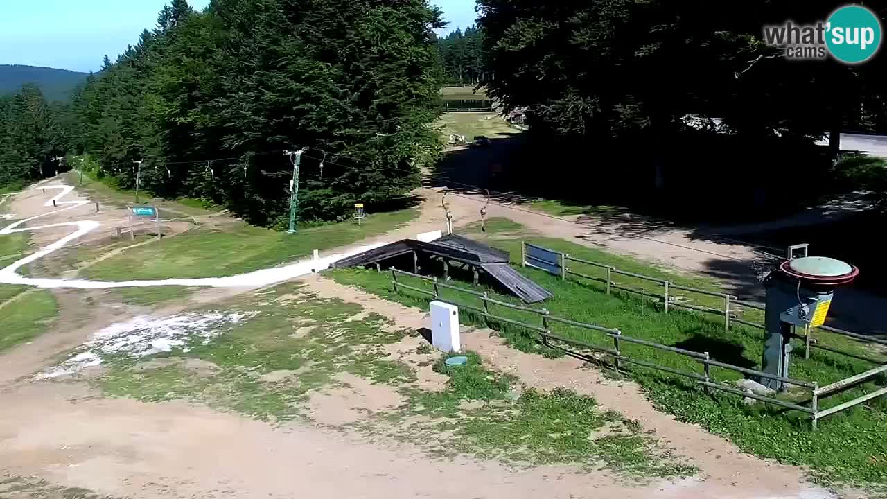 Estaciones de esquí Maribor Pohorje en vivo Ruška