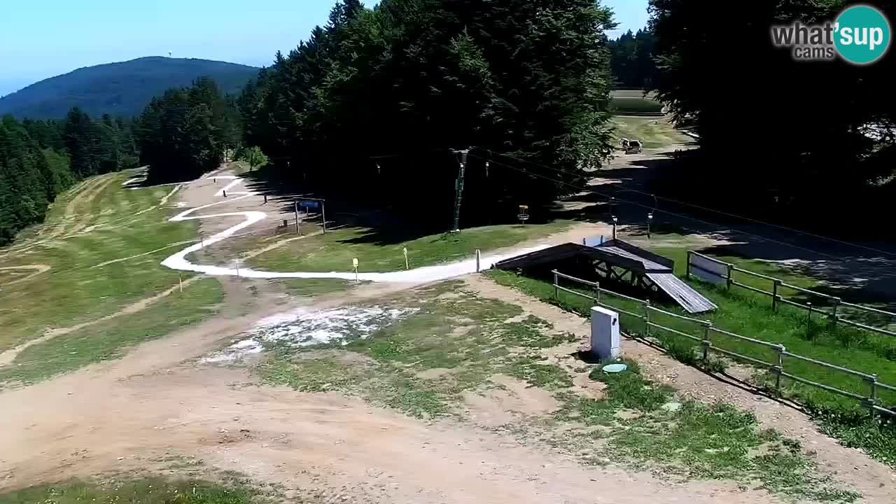 Mariborsko Pohorje – Areh Ruška proga 654