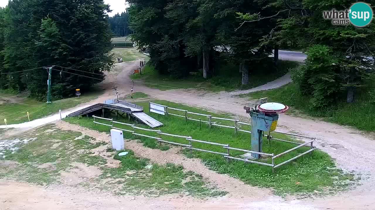 Mariborsko Pohorje – Areh Ruška proga 654