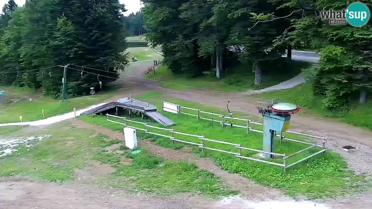 Mariborsko Pohorje – Areh Ruška proga 654