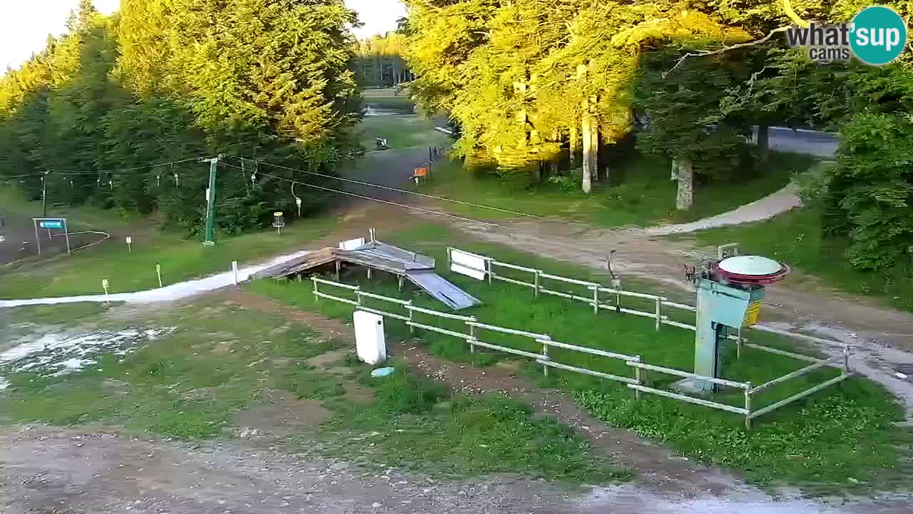 Mariborsko Pohorje – Areh Ruška proga 654