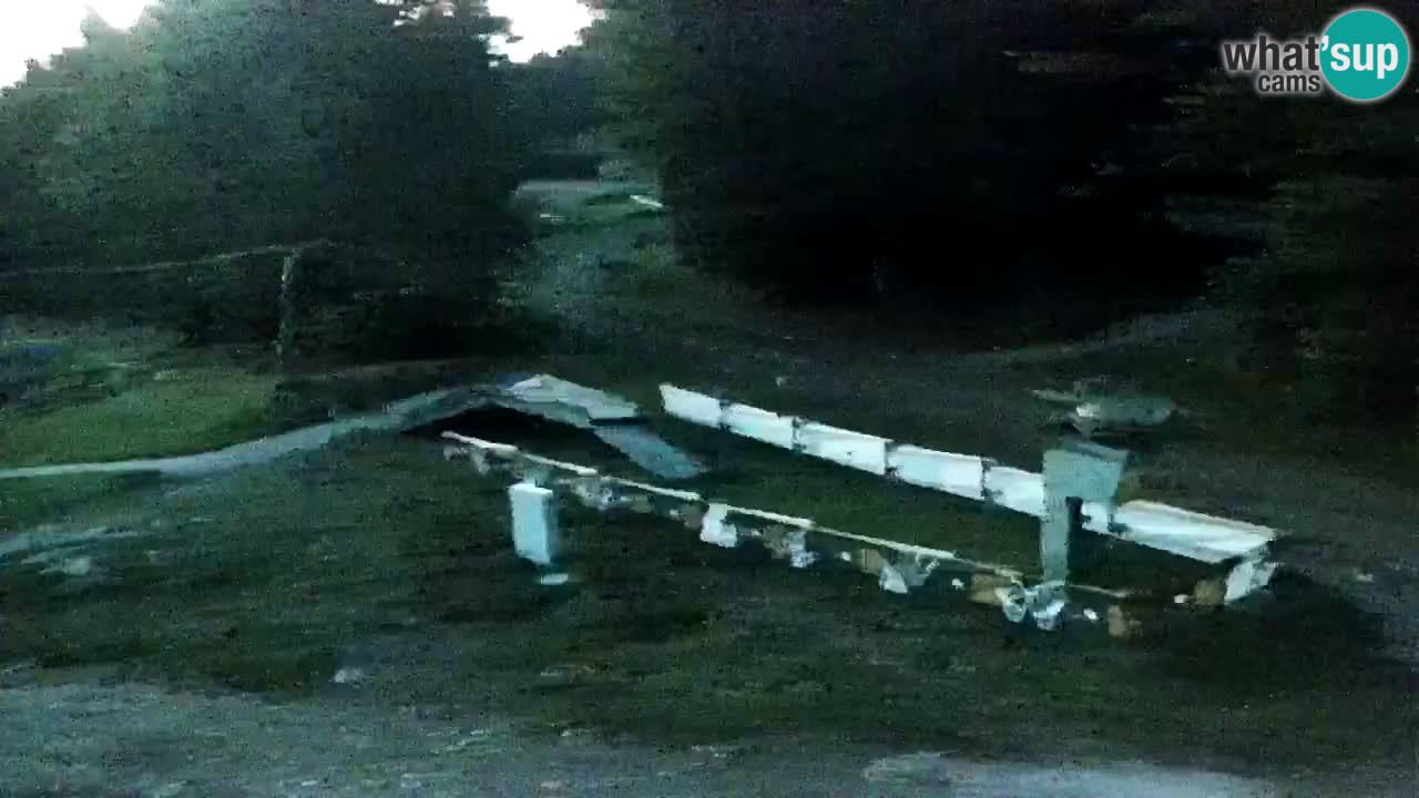 Estaciones de esquí Maribor Pohorje en vivo Ruška