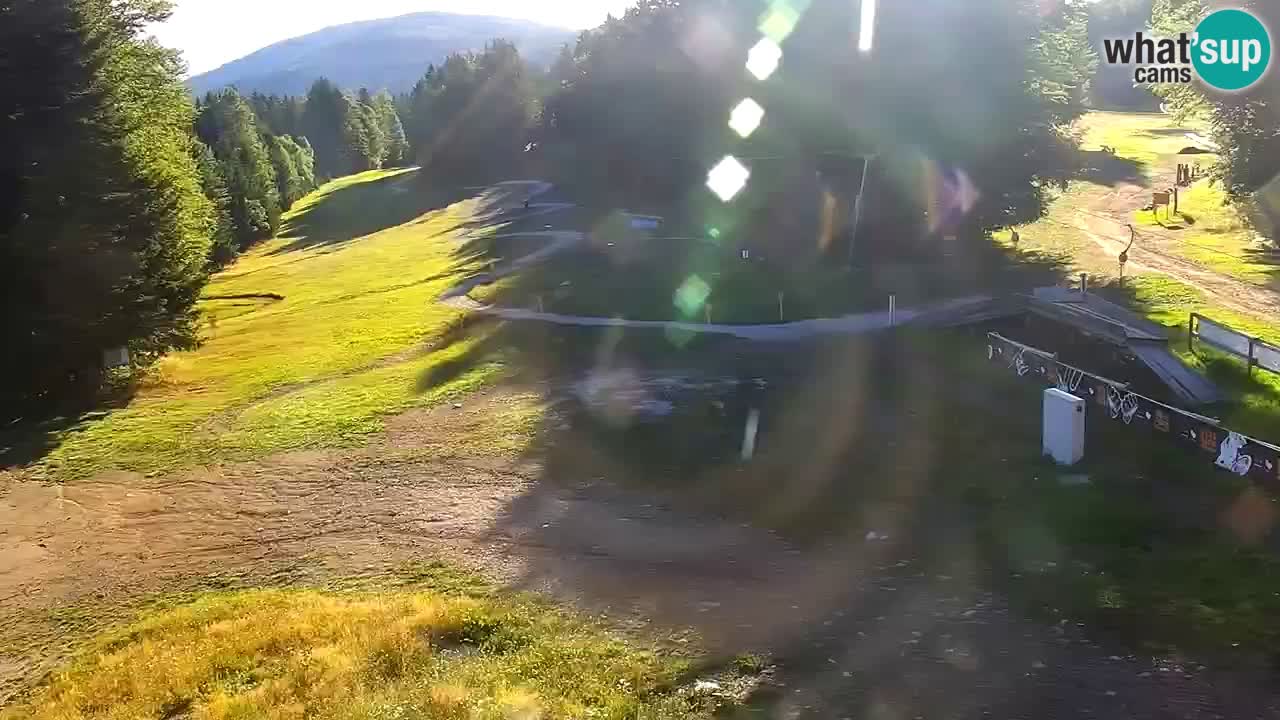 Smučišče Mariborsko Pohorje – spletna kamera Ruška zgoraj