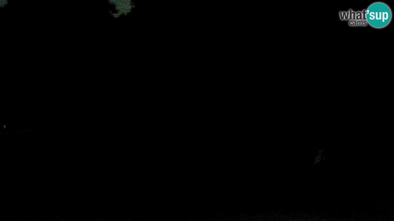 Smučišče Mariborsko Pohorje – spletna kamera Ruška zgoraj