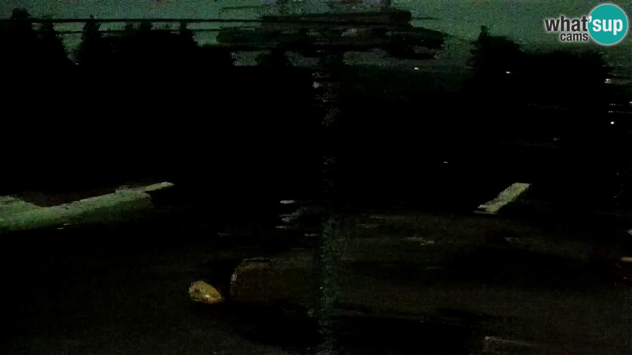 Estaciones de esquí Maribor Pohorje en vivo Ruška