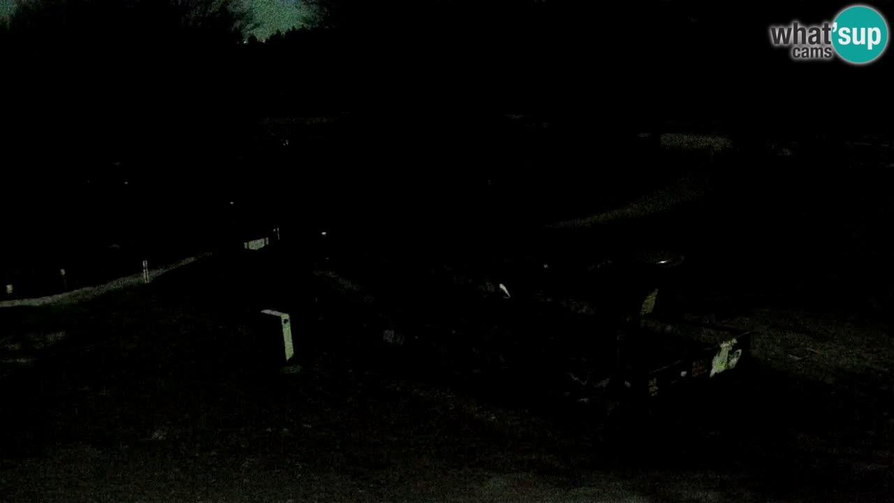 SKI Maribor Pohorje webcam Ruška