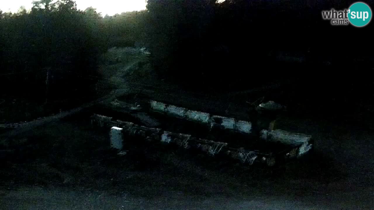 Stations de ski Maribor Pohorje web cam Ruška