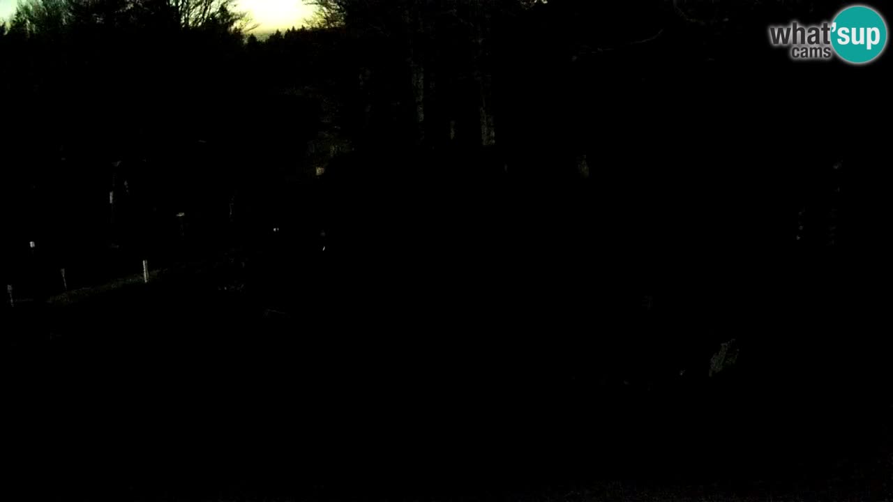 Stations de ski Maribor Pohorje web cam Ruška