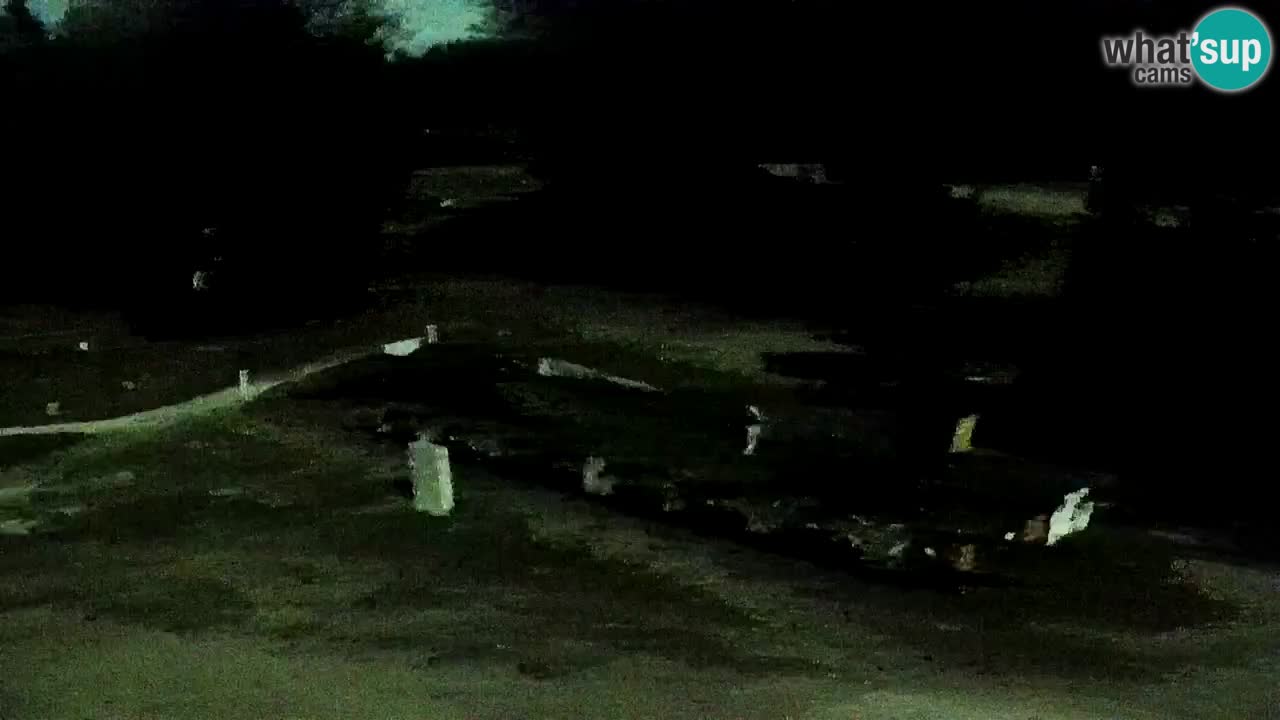 Estaciones de esquí Maribor Pohorje en vivo Ruška