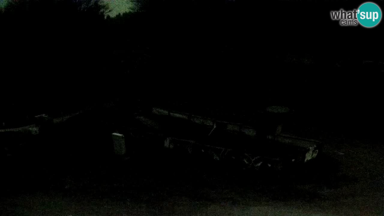 SKI Maribor Pohorje – Ruška webcam