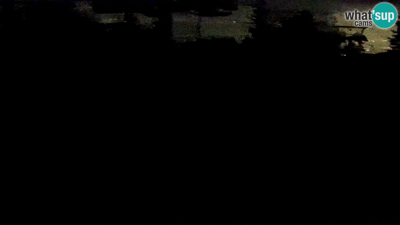 Estaciones de esquí Maribor Pohorje en vivo Ruška