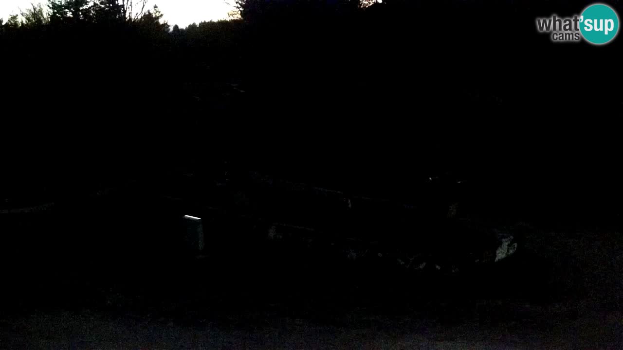 Estaciones de esquí Maribor Pohorje en vivo Ruška