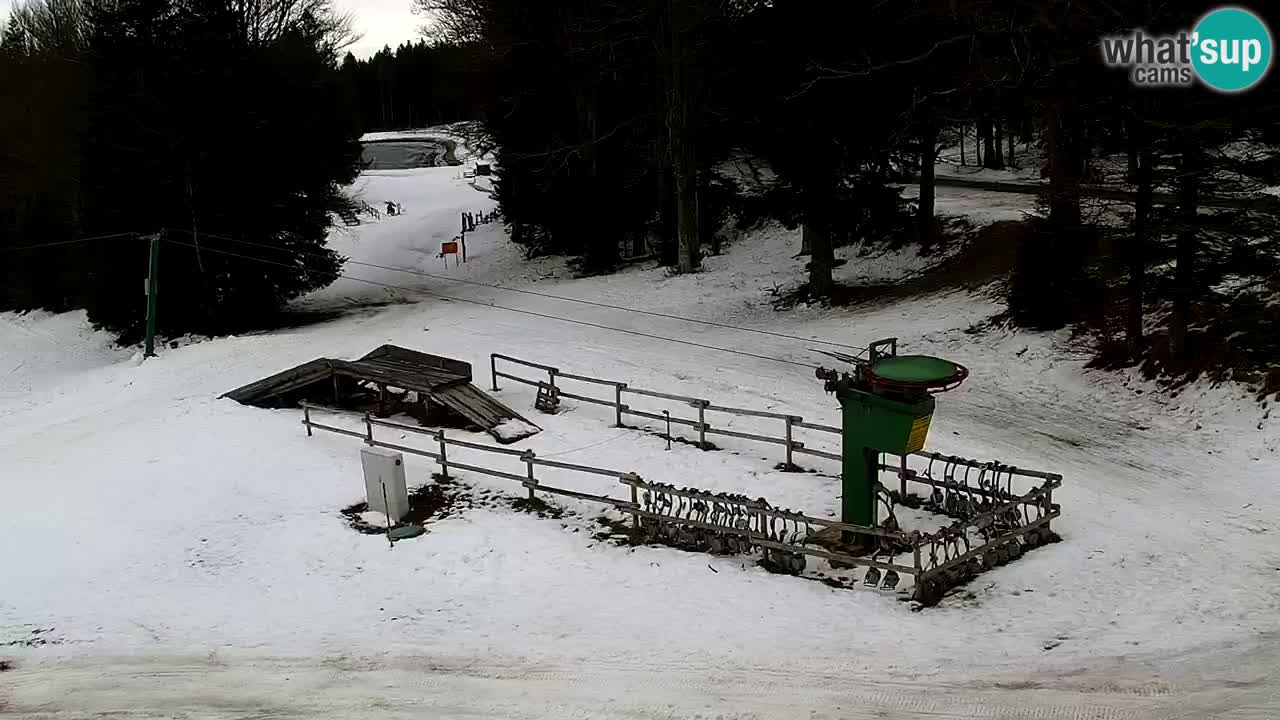 Smučišče Mariborsko Pohorje – spletna kamera Ruška zgoraj
