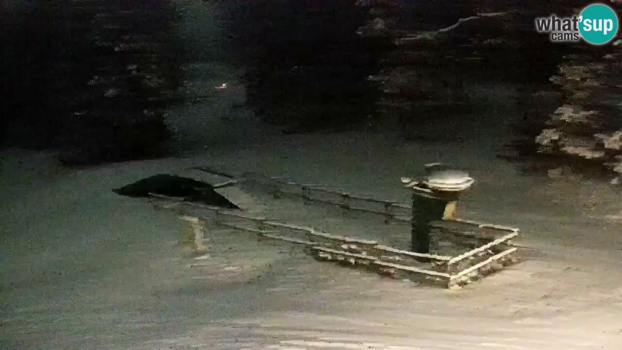 SKI Maribor Pohorje webcam Ruška
