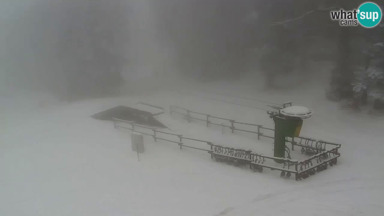 Stazione sciistica Maribor Pohorje – Ruška livecam