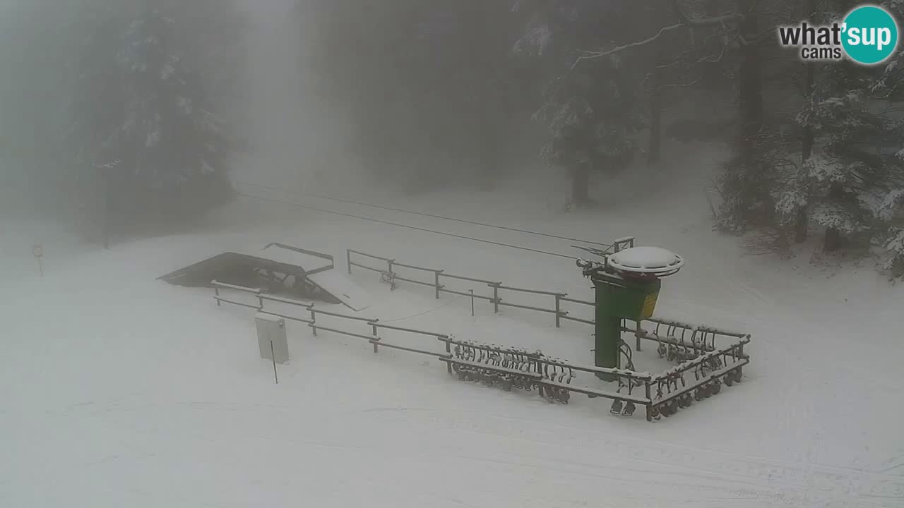 Smučišče Mariborsko Pohorje – spletna kamera Ruška zgoraj