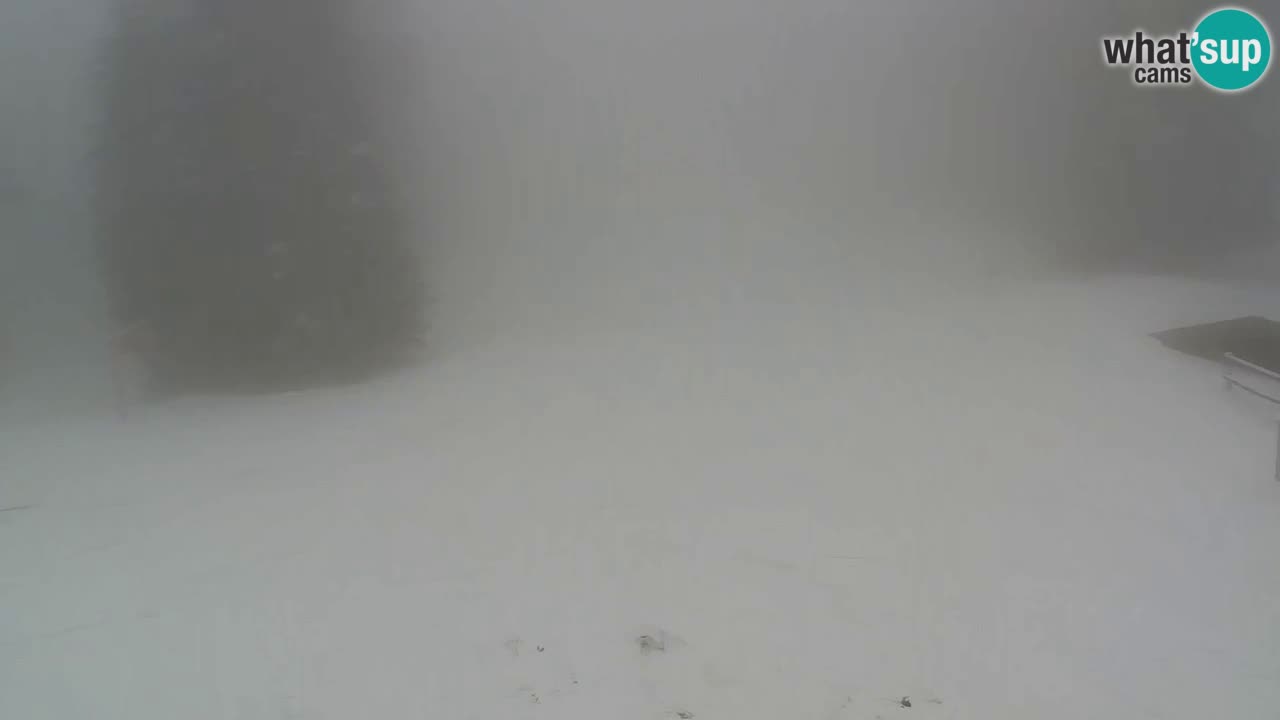 Stations de ski Maribor Pohorje web cam Ruška