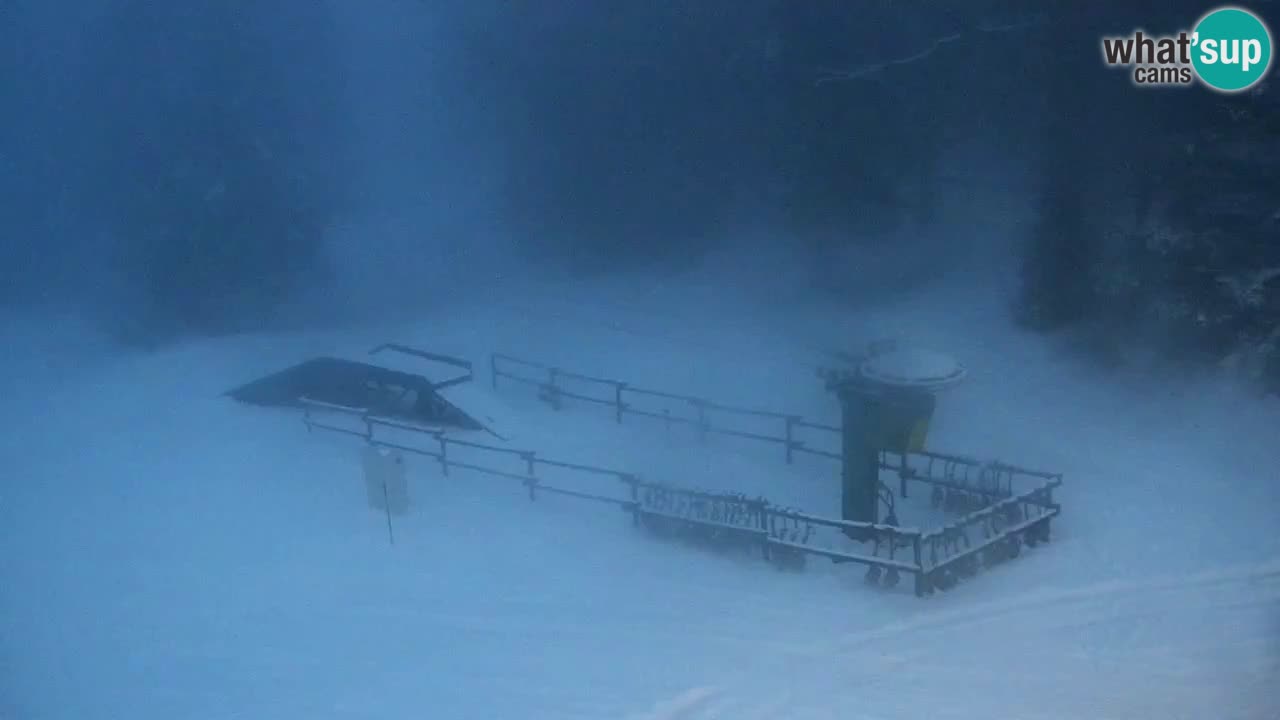 Estaciones de esquí Maribor Pohorje en vivo Ruška